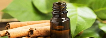 Aprenda información básica de aceite de canela y varios efectos 