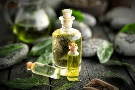 Aceite esencial de árbol de té utilizado en aromaterapia