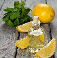 Valor nutricional del aceite esencial de limón en comparación con otras plantas de cítricos