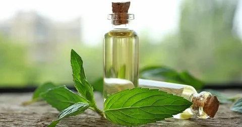 Beneficios de los aceites esenciales de menta y hierbabuena
