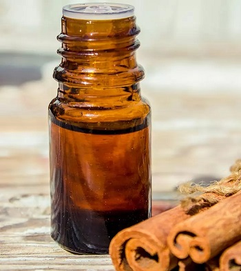 Aprenda detalles de los efectos del aceite de corteza de canela y usa