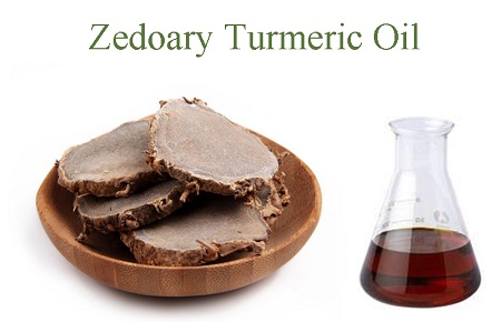 The introduction of zedoary essential oil
